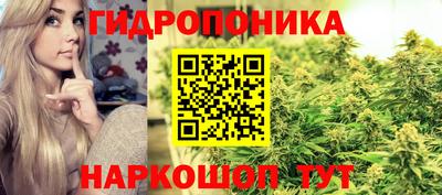 соль ск Кимры