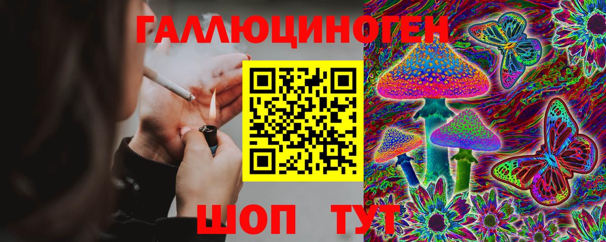 Донской  Псилоцибиновые грибы MAGIC MUSHROOMS  Вход с VPN  Галлюциногенные грибы ЛСД 