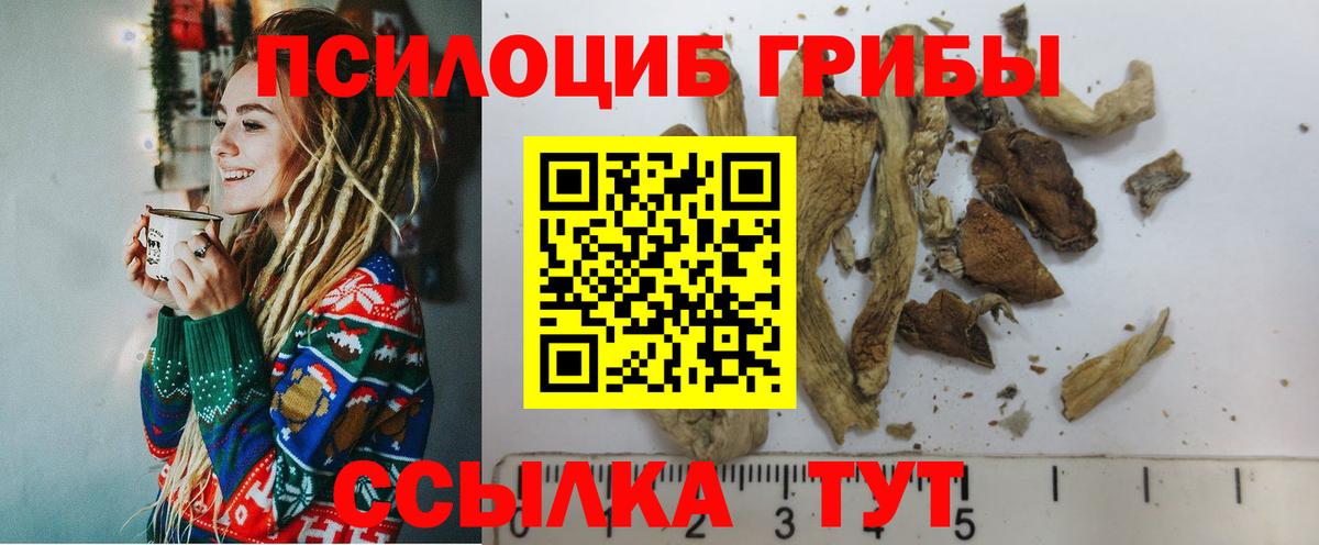 Галлюциногенные грибы ЛСД Донской