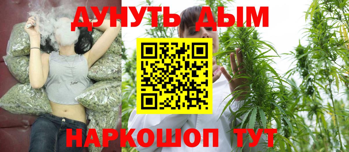 Бошки Шишки сатива Донской